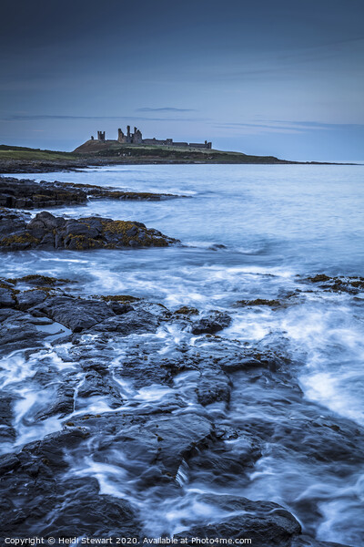 Dunstanburgh Castle, Northumberland Picture Board by Heidi Stewart