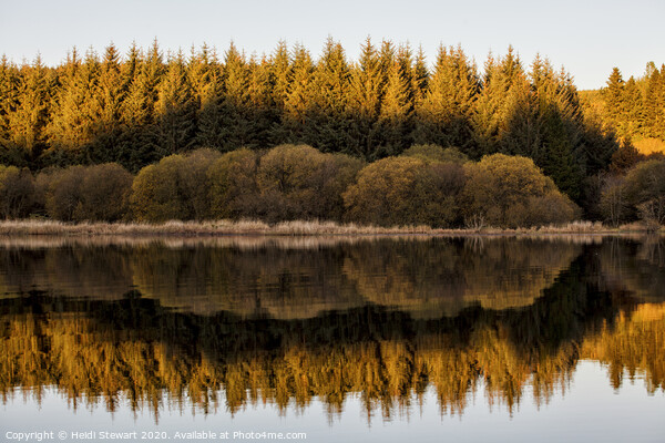Llwyn Onn Reservoir Autumnal Reflections Picture Board by Heidi Stewart