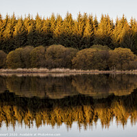 Buy canvas prints of Llwyn Onn Reservoir Autumnal Reflections by Heidi Stewart