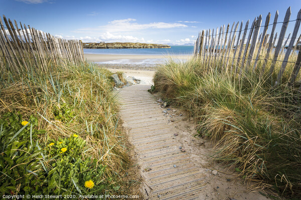 Rhoscolyn Beach, Anglesey Picture Board by Heidi Stewart