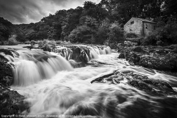 Cenarth Falls and Old Mill, West Wales Picture Board by Heidi Stewart