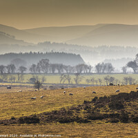 Buy canvas prints of Brecon Beacons National Park by Heidi Stewart