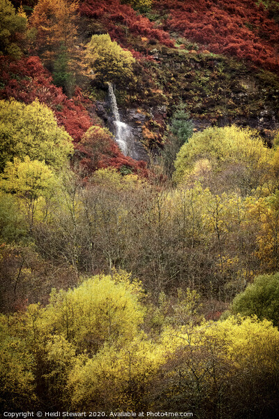 Autumnal Scene in the Welsh Valleys Picture Board by Heidi Stewart