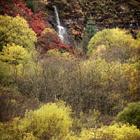 Buy canvas prints of Autumnal Scene in the Welsh Valleys by Heidi Stewart
