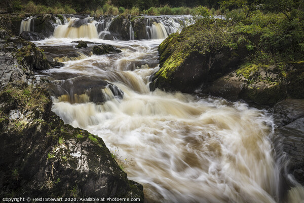 Cenarth Falls, Ceredigion, Wales  Picture Board by Heidi Stewart