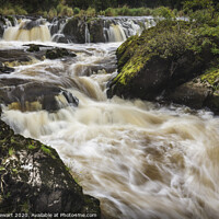 Buy canvas prints of Cenarth Falls, Ceredigion, Wales  by Heidi Stewart