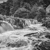 Buy canvas prints of Cenarth Falls and Old Mill, Ceredigion, Wales  by Heidi Stewart