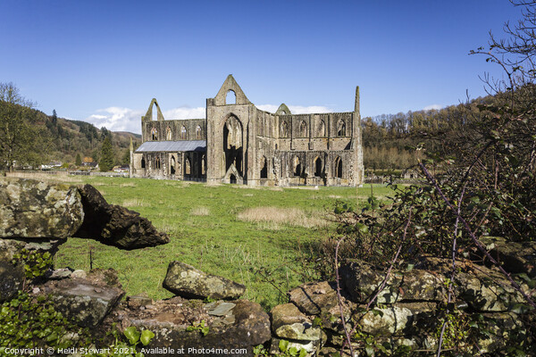 Tintern Abbey in Monmouthshire, Wales Picture Board by Heidi Stewart