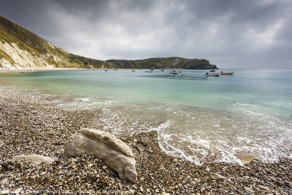 Lulworth Cove in Dorset Picture Board by Heidi Stewart