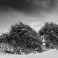 Buy canvas prints of Sand Dunes at Kenfig National Nature Reserve in So by Heidi Stewart