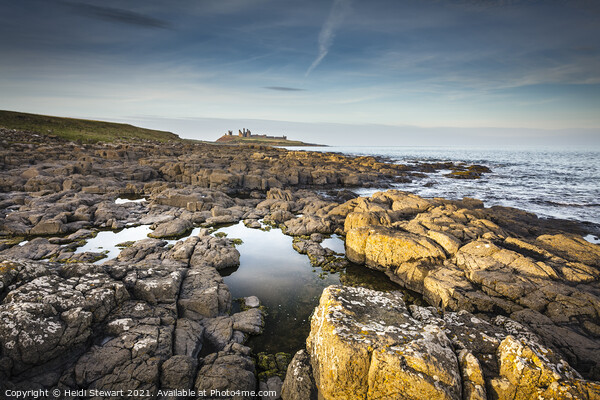 Dunstanburgh Castle and Northumberland Coast Picture Board by Heidi Stewart
