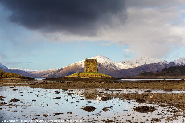Castle Stalker in the Scottish Highlands Picture Board by Heidi Stewart