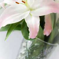 Buy canvas prints of A Vase of Lillies by Heidi Stewart