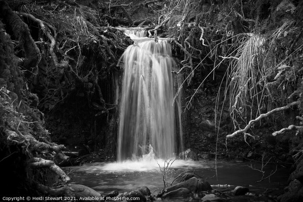 Small Falls at Tyn y Coed Woods Picture Board by Heidi Stewart