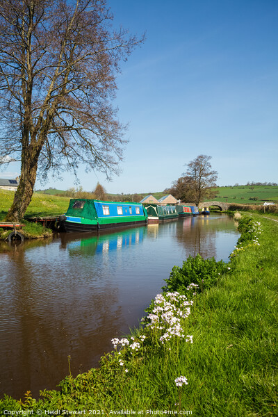 Sunny Days Along the Canal Picture Board by Heidi Stewart