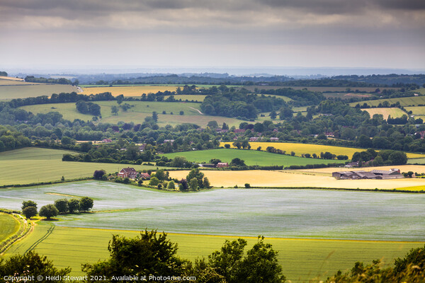 The South Downs in Hampshire, England Picture Board by Heidi Stewart