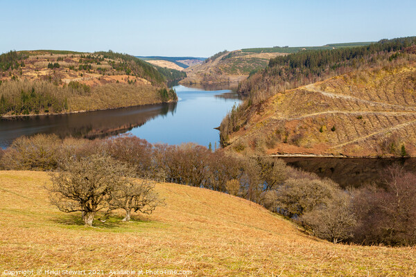 Llyn Brianne Reservoir, Mid Wales Picture Board by Heidi Stewart