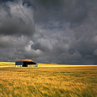 Buy canvas prints of Barn and Barley by Kris Dutson