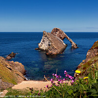 Buy canvas prints of Bow Fiddle Rock Bay by Richard Morgan