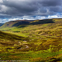 Buy canvas prints of Cairngorms National Park by Richard Morgan
