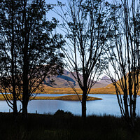 Buy canvas prints of Silhouette trees over Lochan an Ais. by Richard Morgan