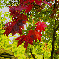 Buy canvas prints of Autumn Colours by Anthony Simpson
