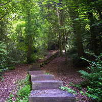 Buy canvas prints of Dale Coppice steps by simon alun hark