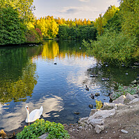 Buy canvas prints of Summer day on the pond by simon alun hark