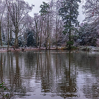 Buy canvas prints of Apley Pond by simon alun hark