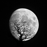 Buy canvas prints of Moon Shot Silhouette by simon alun hark