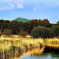 Buy canvas prints of Glastonbury Tor and the Somerset Levels  by Alexandra Stevens