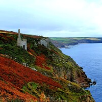 Buy canvas prints of Cornish Tin mine at Rinsey in Cornwall by Alexandra Stevens