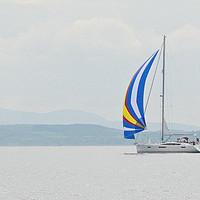 Buy canvas prints of Sailing on the Firth by Matt Johnston