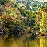 Buy canvas prints of Autumn at Loch Tay by Matt Johnston