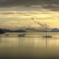 Buy canvas prints of Yellow Morning by Toby Bennett