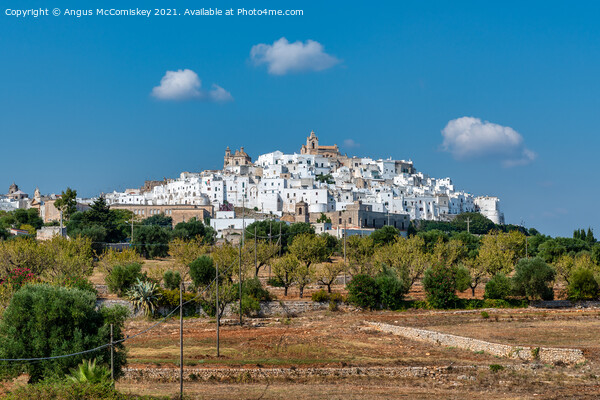 Hilltop town of Ostuni in Puglia, Southern Italy Picture Board by Angus McComiskey