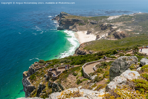 Cape Point South Africa Picture Board by Angus McComiskey