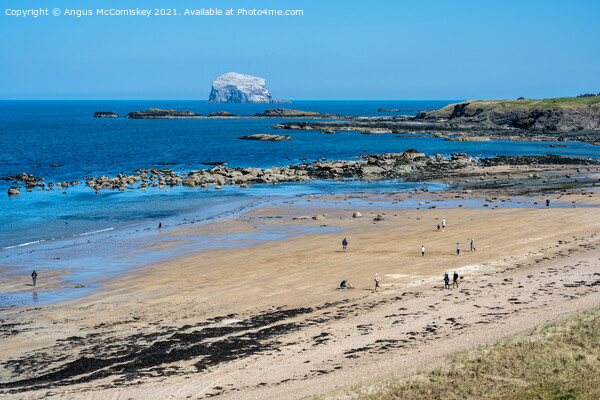 Milsey Bay Beach North Berwick and Bass Rock Picture Board by Angus McComiskey