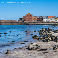 Buy canvas prints of North Berwick Harbour from West Bay Beach by Angus McComiskey