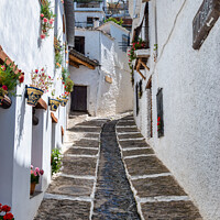 Buy canvas prints of Narrow alleyway in Pampaneira, Andalusia, Spain by Angus McComiskey