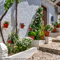 Buy canvas prints of Colourful alleyway in Pampaneira, Andalusia, Spain by Angus McComiskey