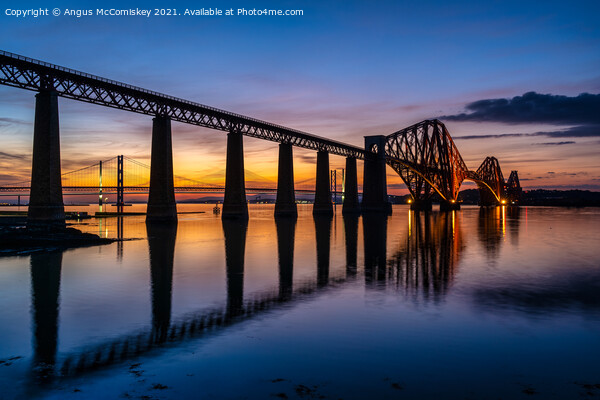 Forth Rail Bridge at dusk Picture Board by Angus McComiskey