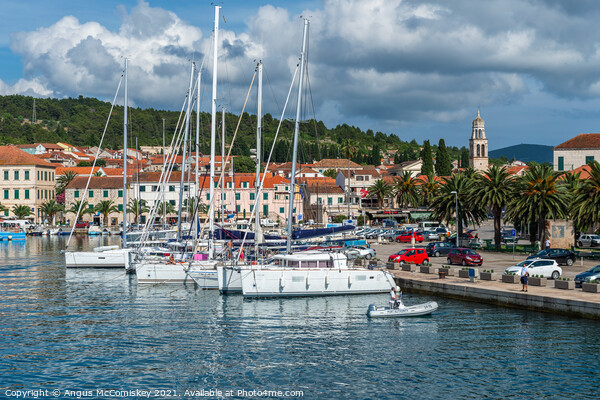 Yachts moored in Vela Luka harbour, Croatia Picture Board by Angus McComiskey