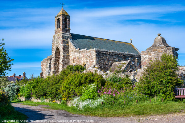 St Mary’s Parish Church, Holy Island Picture Board by Angus McComiskey