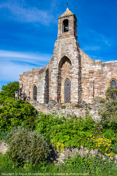 Bell tower of St Mary’s Parish Church, Holy Island Picture Board by Angus McComiskey