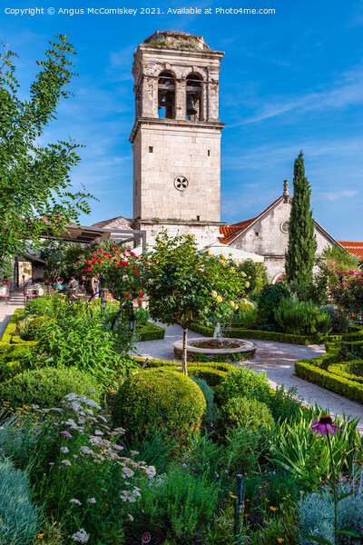 Garden of St Lawrence Monastery, Sibenik, Croatia Picture Board by Angus McComiskey