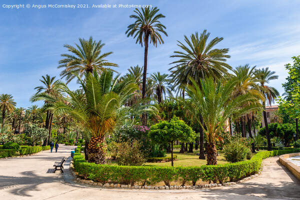 Villa Bonanno Garden, Palermo, Sicily Picture Board by Angus McComiskey