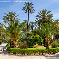 Buy canvas prints of Villa Bonanno Garden, Palermo, Sicily by Angus McComiskey