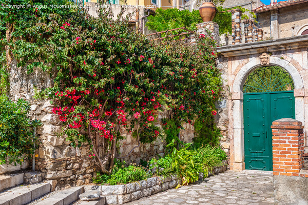 Bougainvillea doorway, Taormina, Sicily Picture Board by Angus McComiskey
