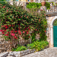 Buy canvas prints of Bougainvillea doorway, Taormina, Sicily by Angus McComiskey